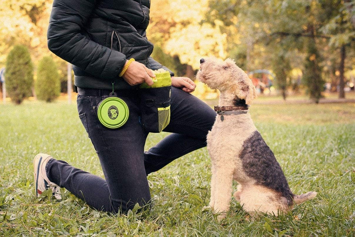 Dog Treat Pouch for Training & Walking 