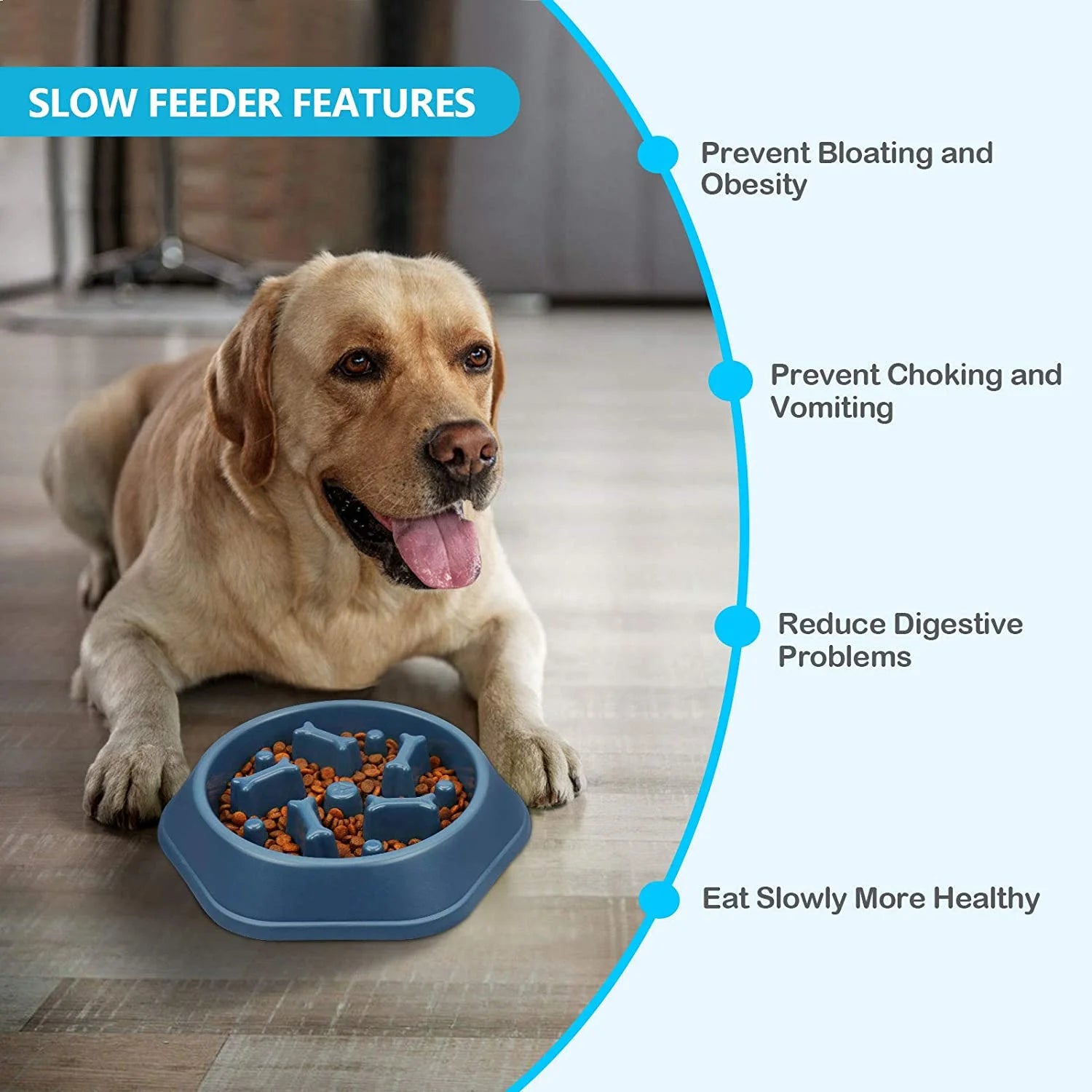 Slow Feeder Dog Bowls | Anti-Gulping Slow Feeder