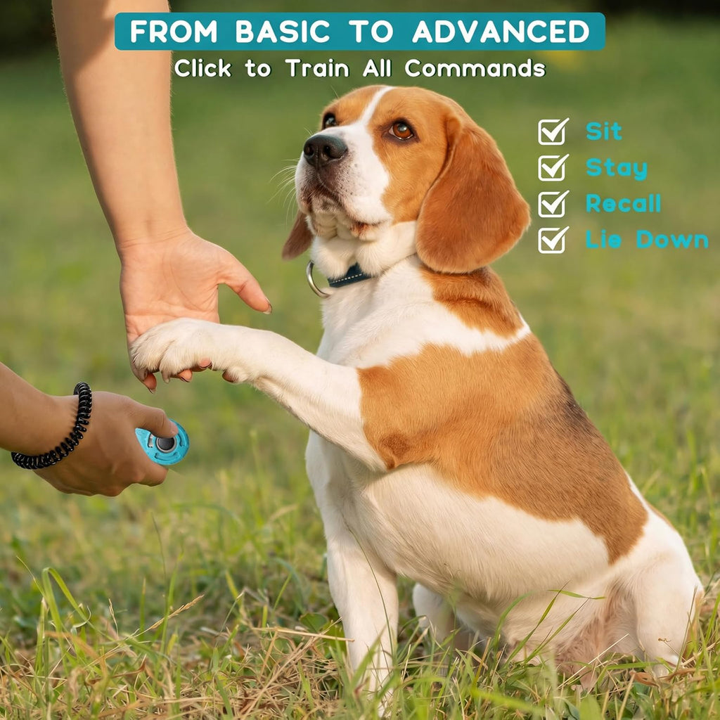 Dog Training Clicker