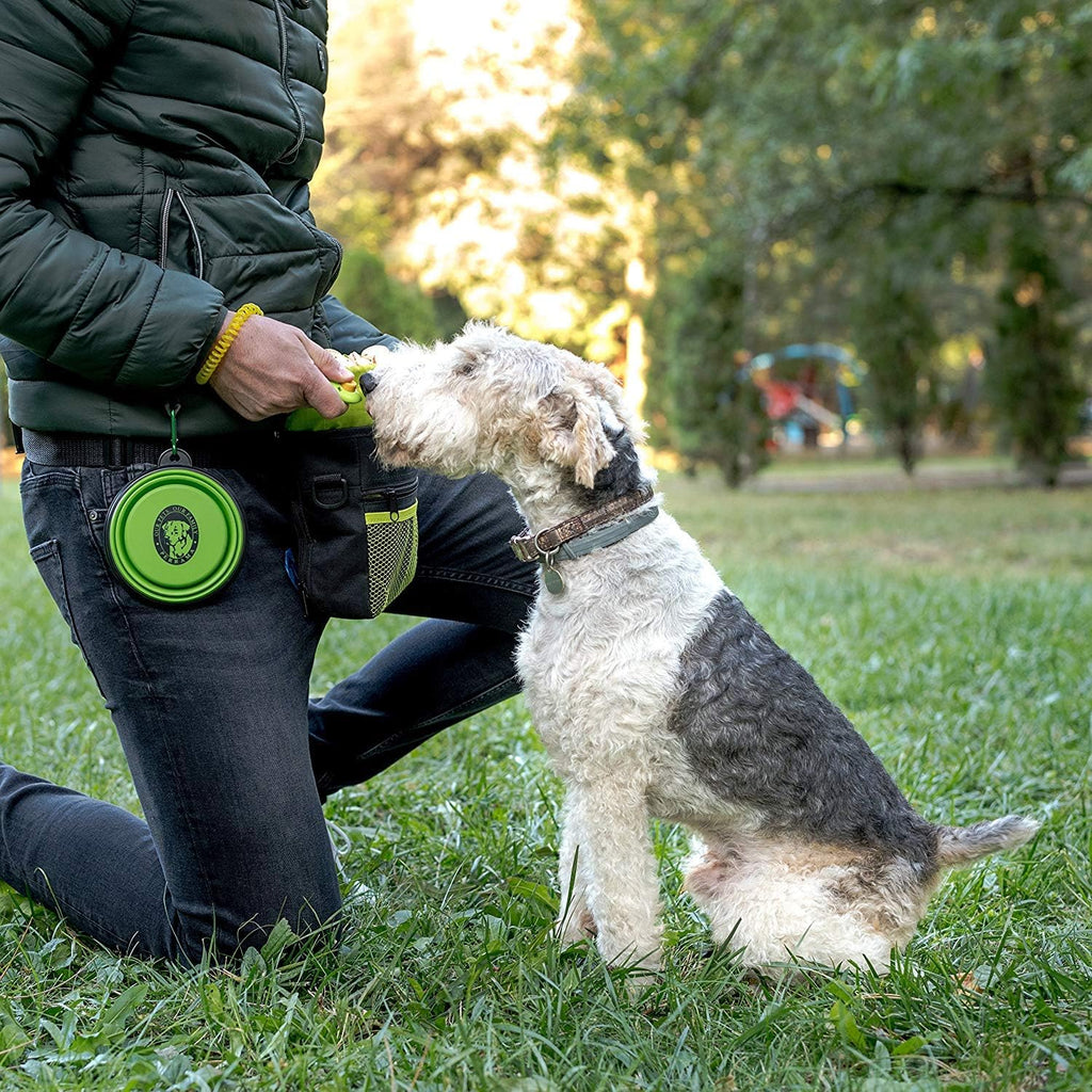 Dog Treat Pouch for Training & Walking 